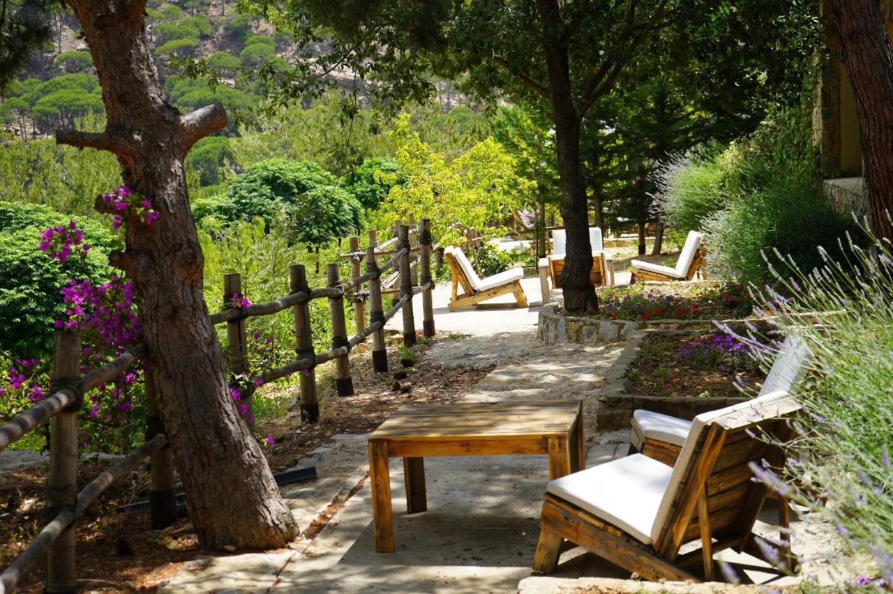 Blue Jay Valley Jezzîne Eksteriør bilde